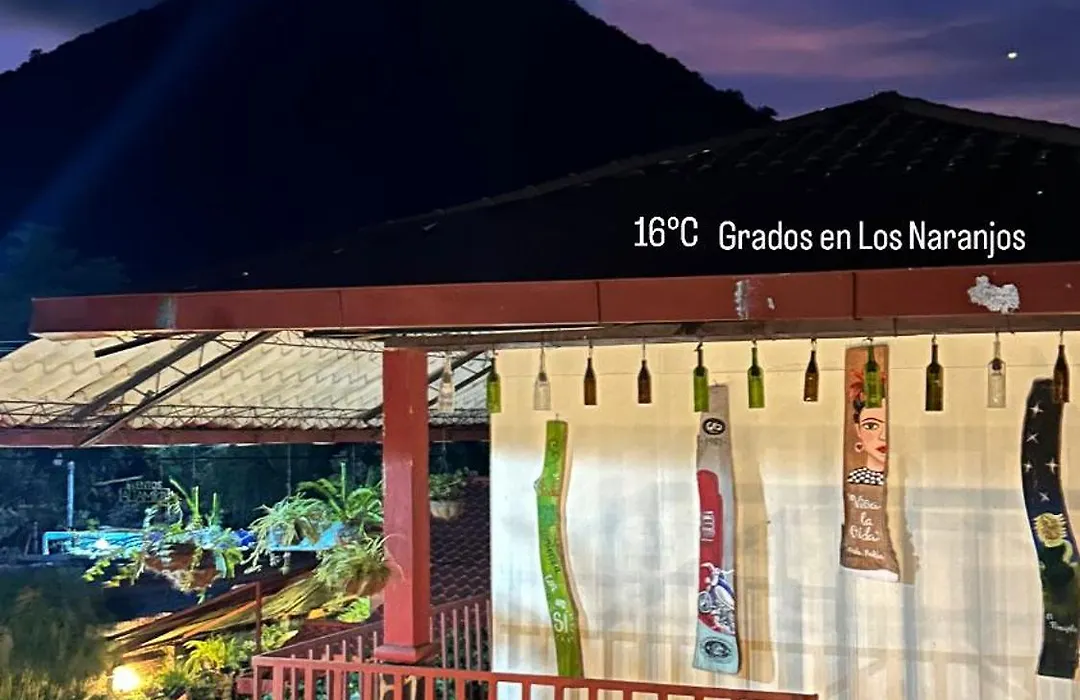 1961 Los Naranjos Hostal-1